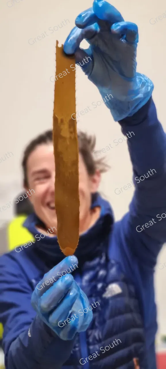 Kelp Blue Aotearoa Cultivation - Bluff, New Zealand - Credit Kelp Blue