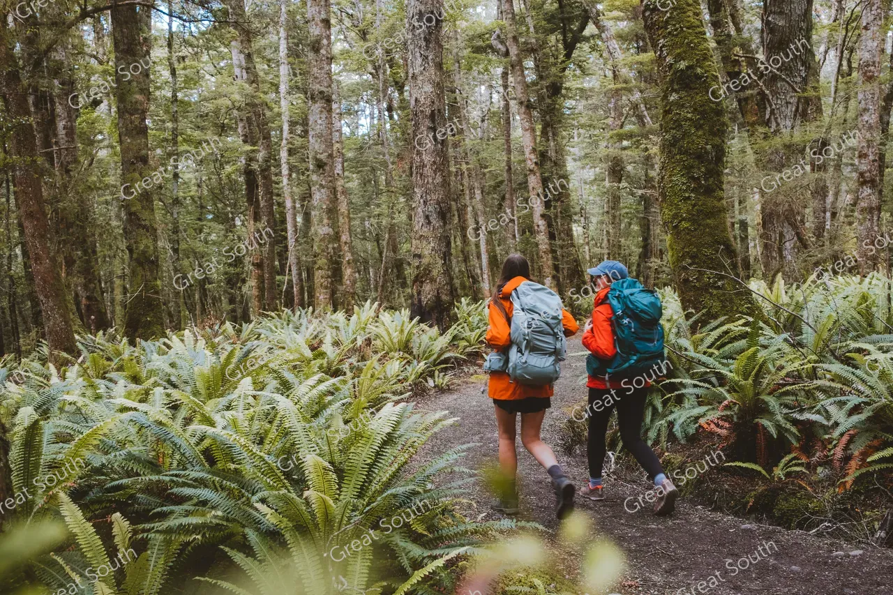 Kepler Track Day Walks - Credit Fiordland Outdoors (19)