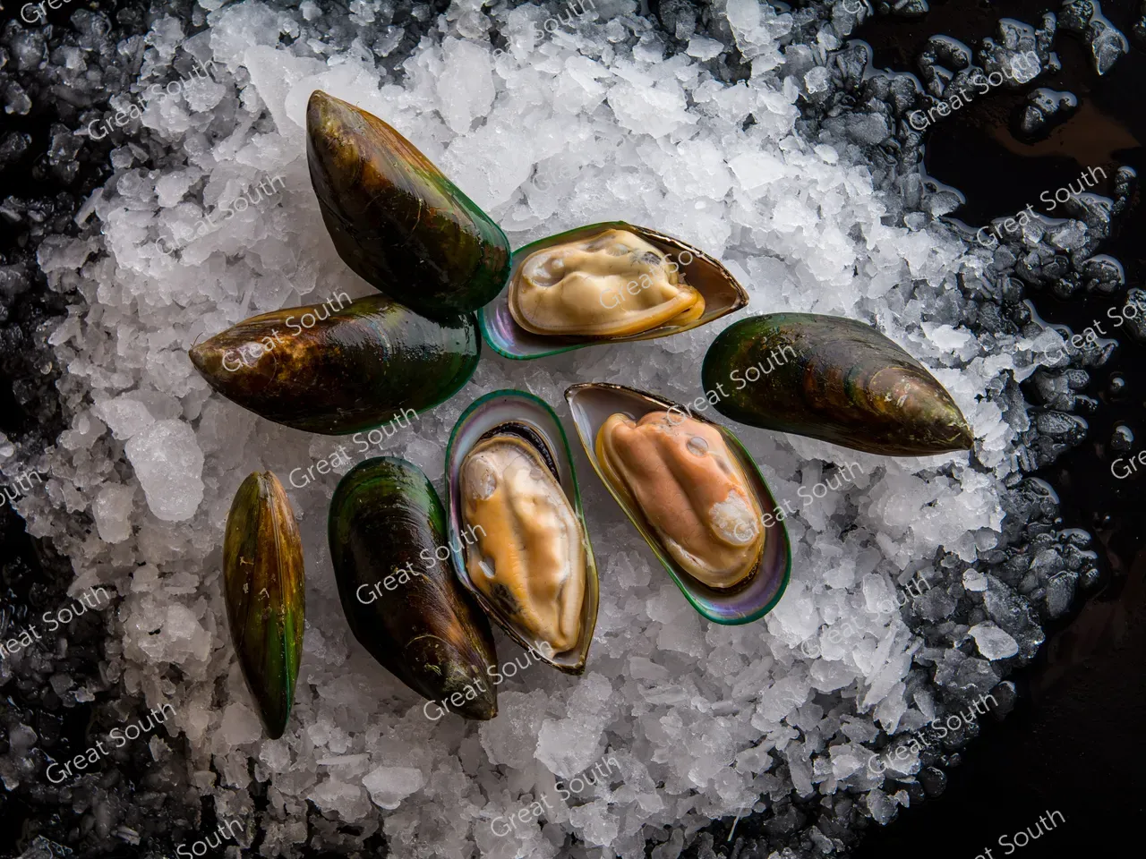 Aquaculture NZ - Southland, New Zealand - Credit Aquaculture New Zealand (2)