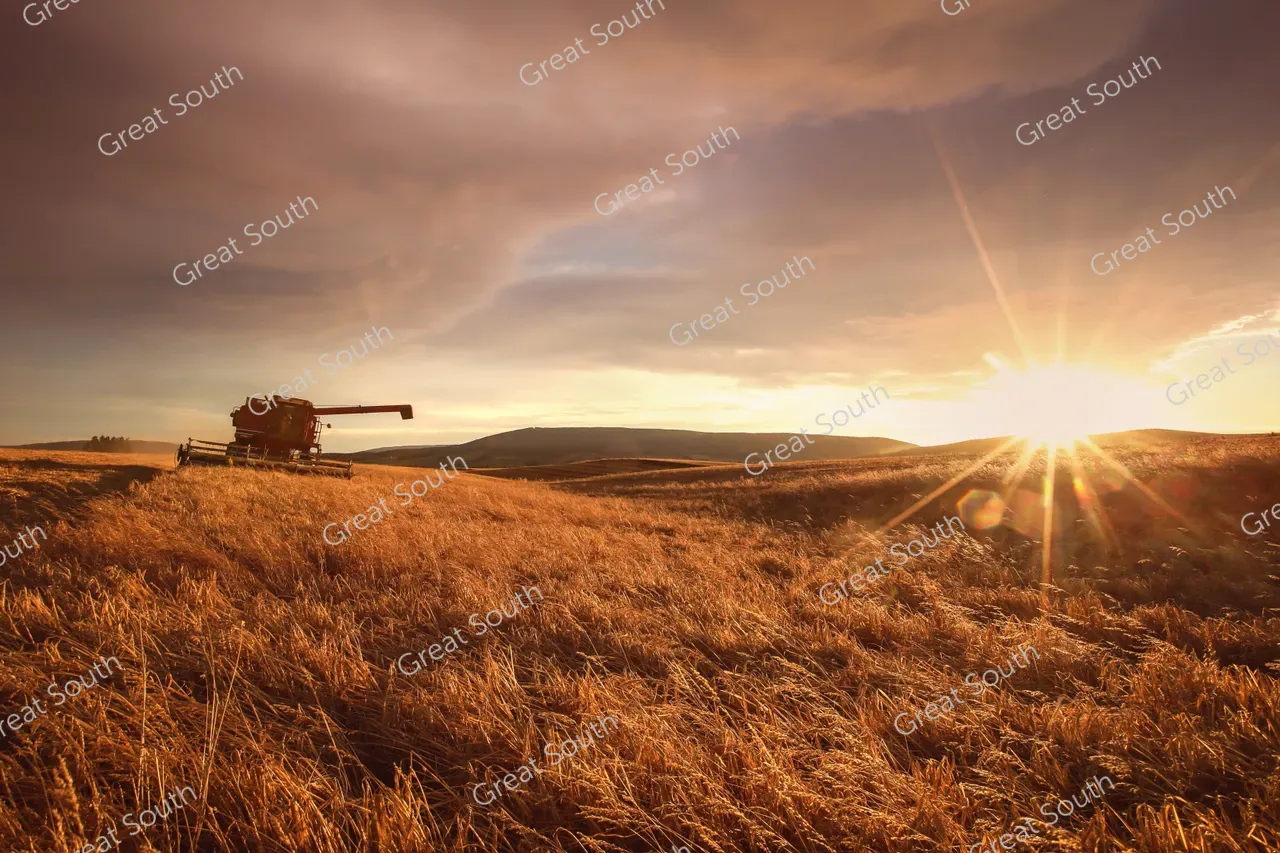 Auld Farm Distillery - Southland, New Zealand - Credit Auld Farm Distillery (17)