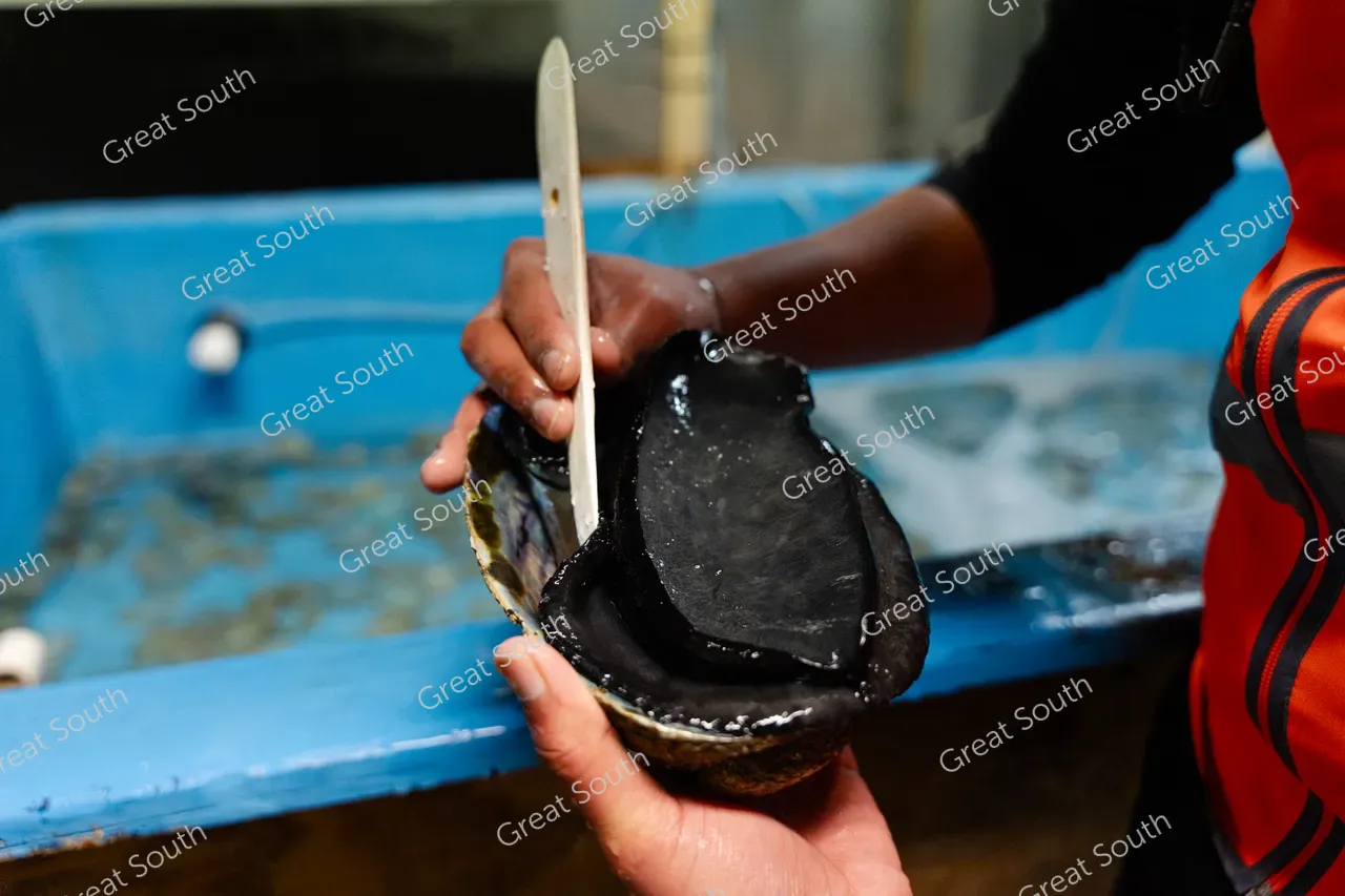 Bluff Distillery - Southland, New Zealand - Credit Dave Nash Photography (3)