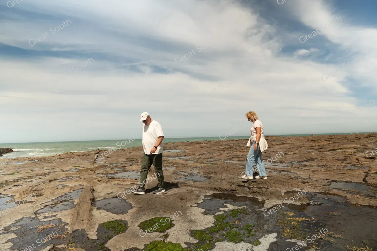 Petrified Forest, Curio Bay - Southland, New Zealand - Credit Great South (6)
