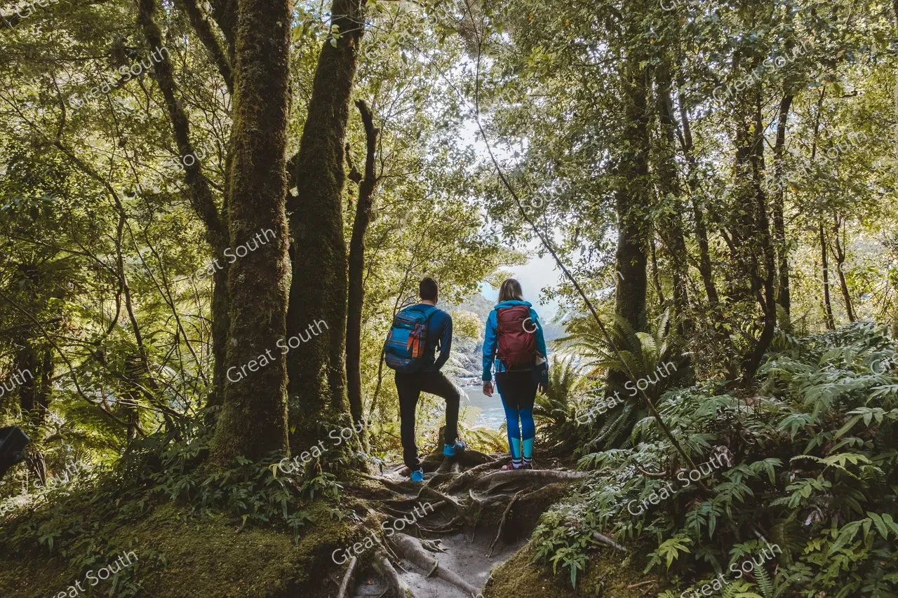 Milford Track Day Walk, Milford Sound - Credit Fiordland Outdoors (13)