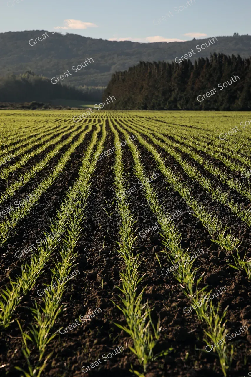 Auld Farm Distillery - Southland, New Zealand - Credit Auld Farm Distillery (13)
