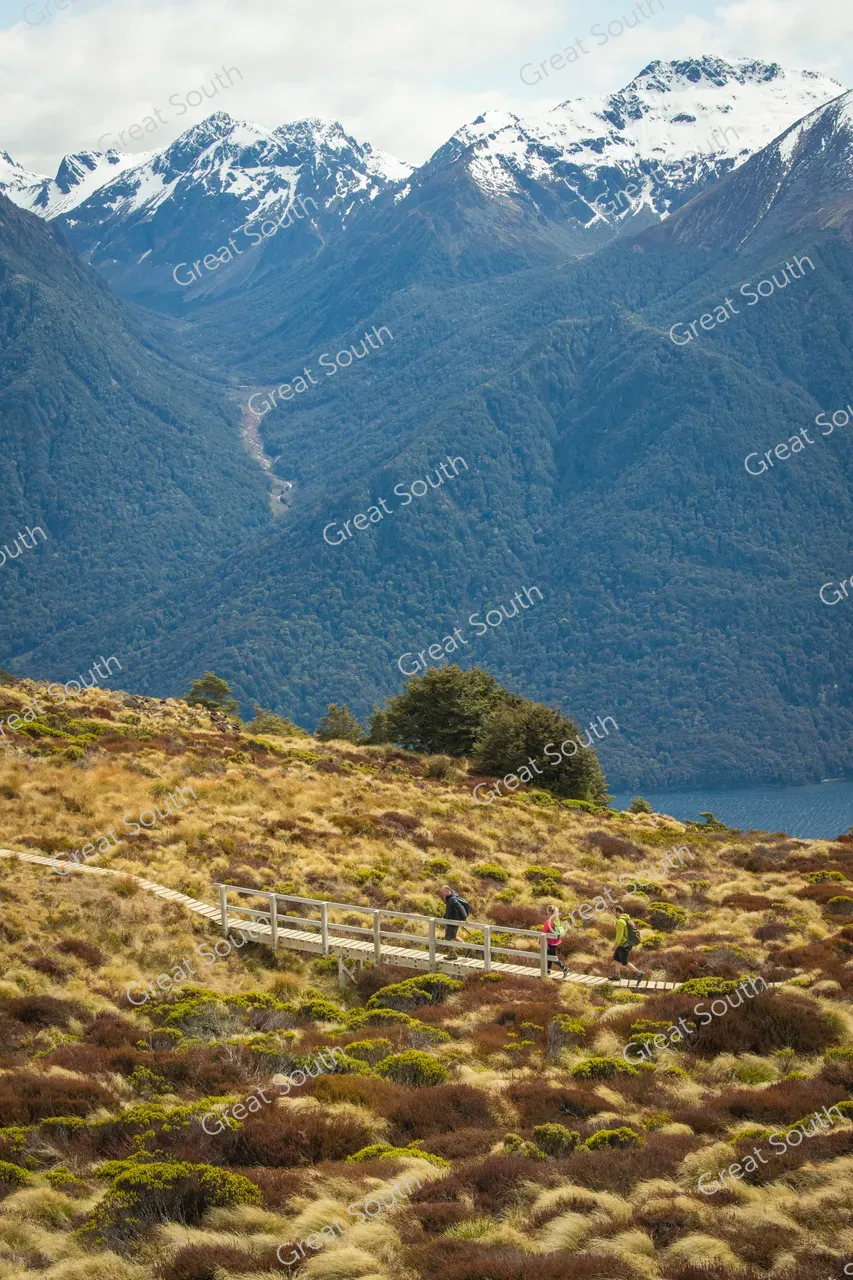 Kepler Track Day Walks - Credit Fiordland Outdoors (23)