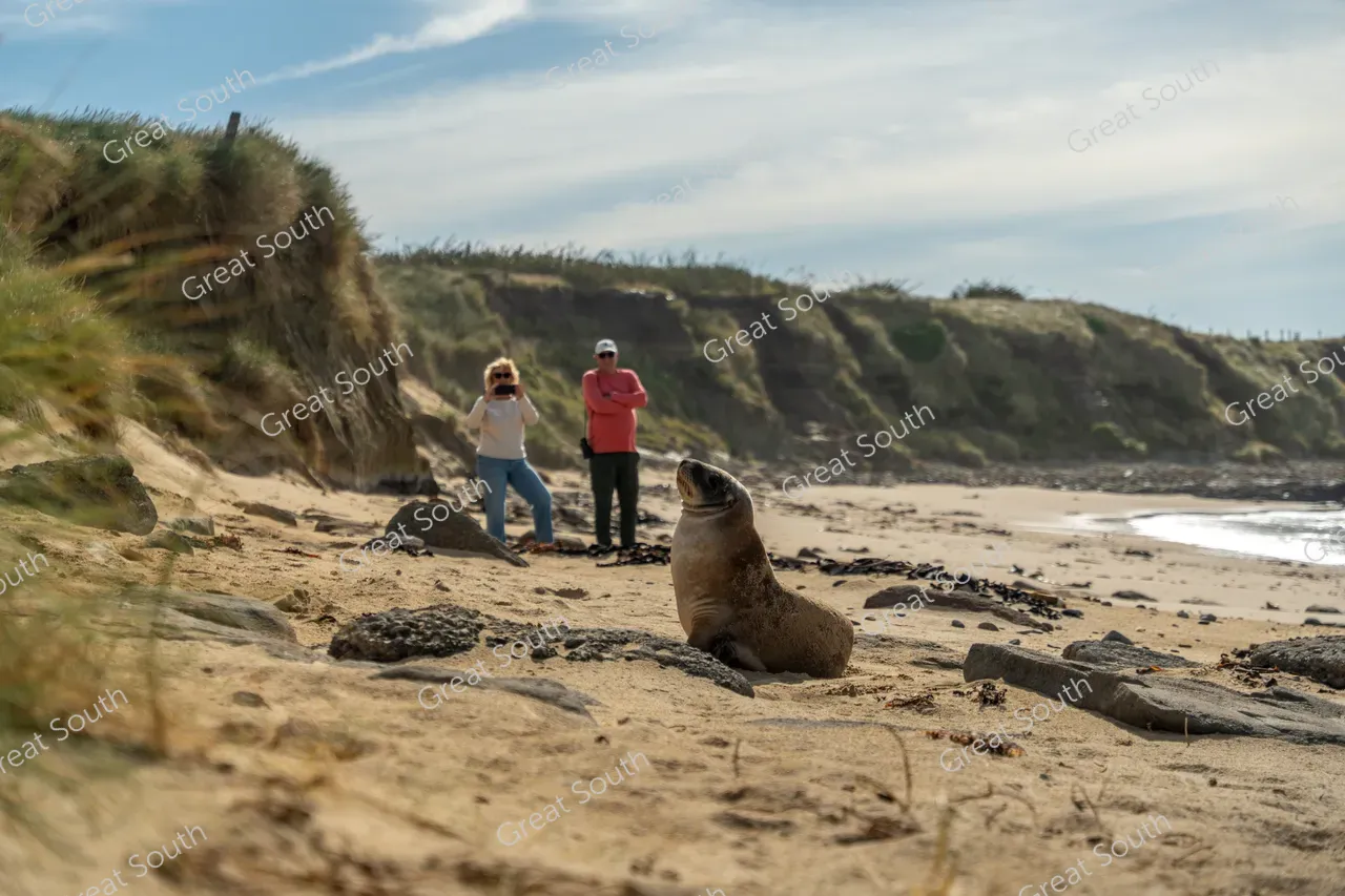 Waipapa Point - Southland, New Zealand - Credit Great South (2)
