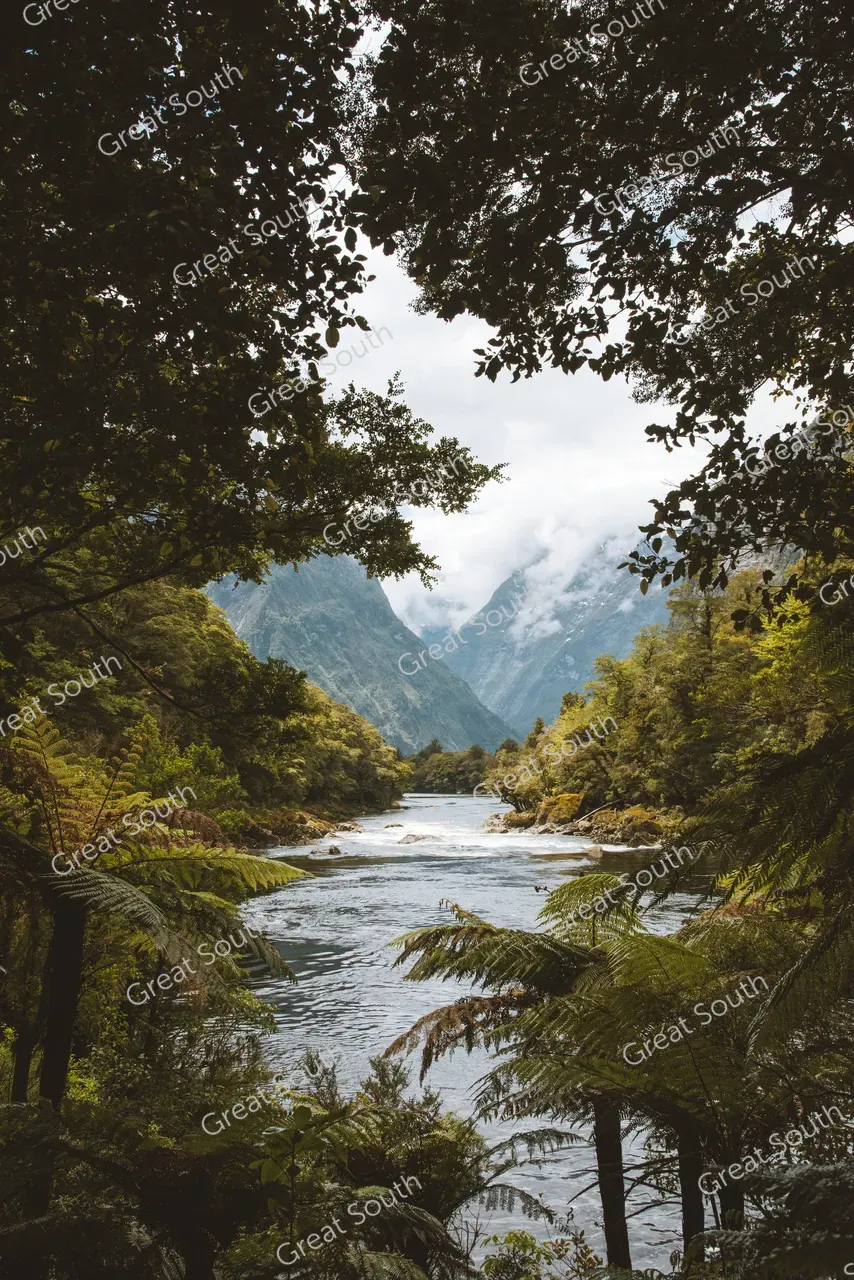 Milford Track Day Walk, Milford Sound - Credit Fiordland Outdoors (28)