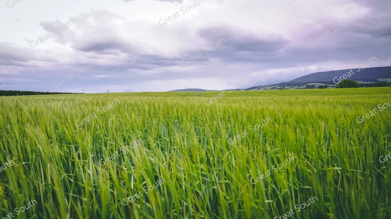 Auld Farm Distillery - Southland, New Zealand - Credit Auld Farm Distillery (24)