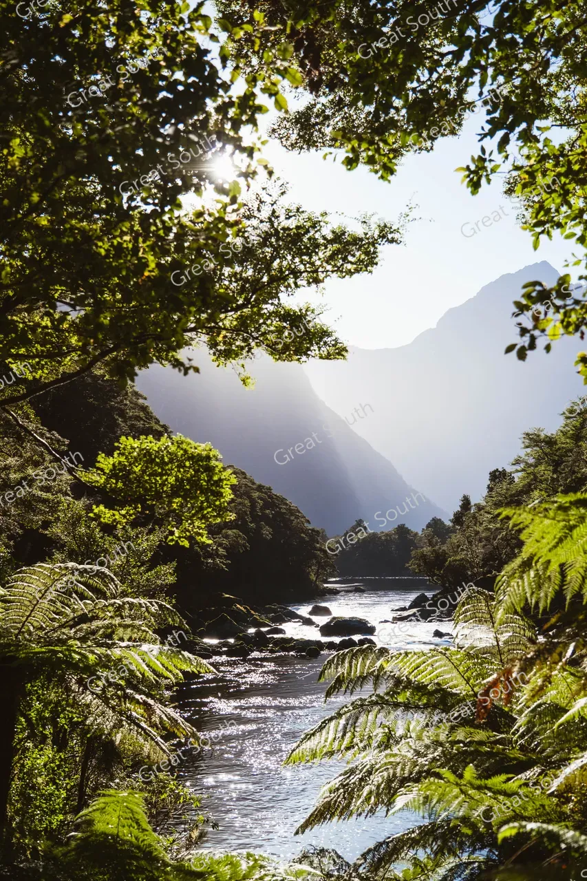 Milford Track Day Walk, Milford Sound - Credit Fiordland Outdoors (40)