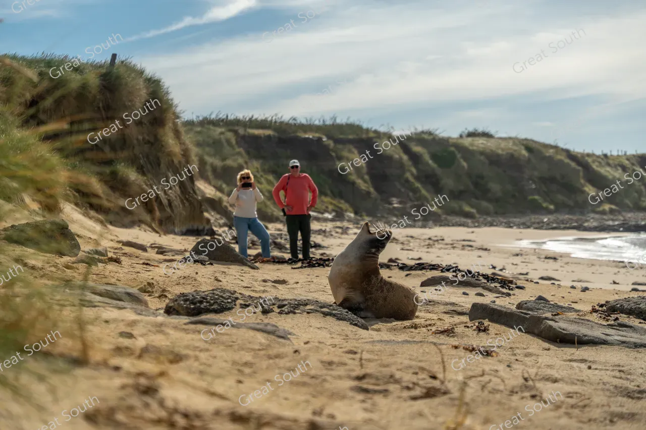 Waipapa Point - Southland, New Zealand - Credit Great South (6)