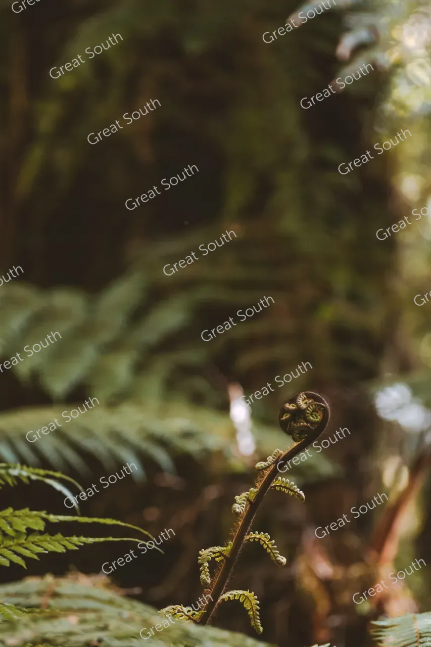 Milford Track Day Walk, Milford Sound - Credit Fiordland Outdoors (15)