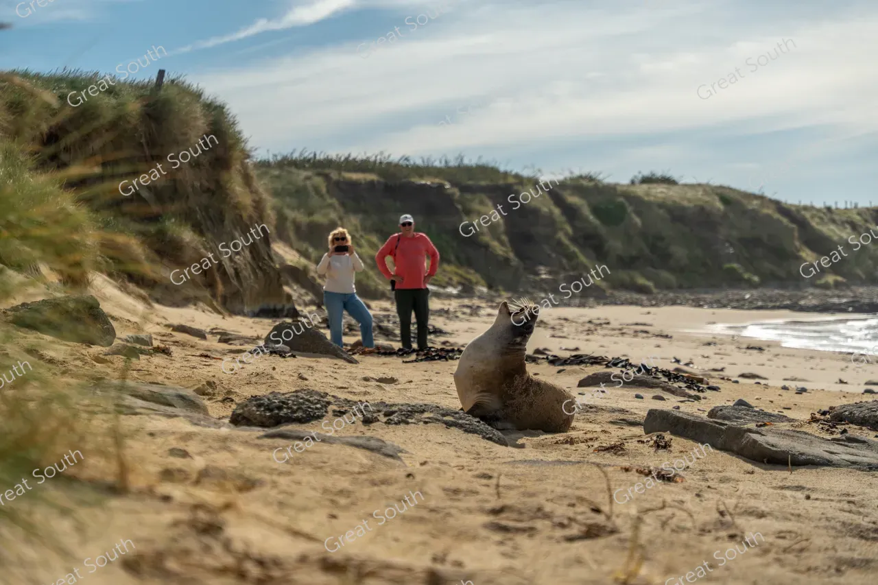 Waipapa Point - Southland, New Zealand - Credit Great South (4)
