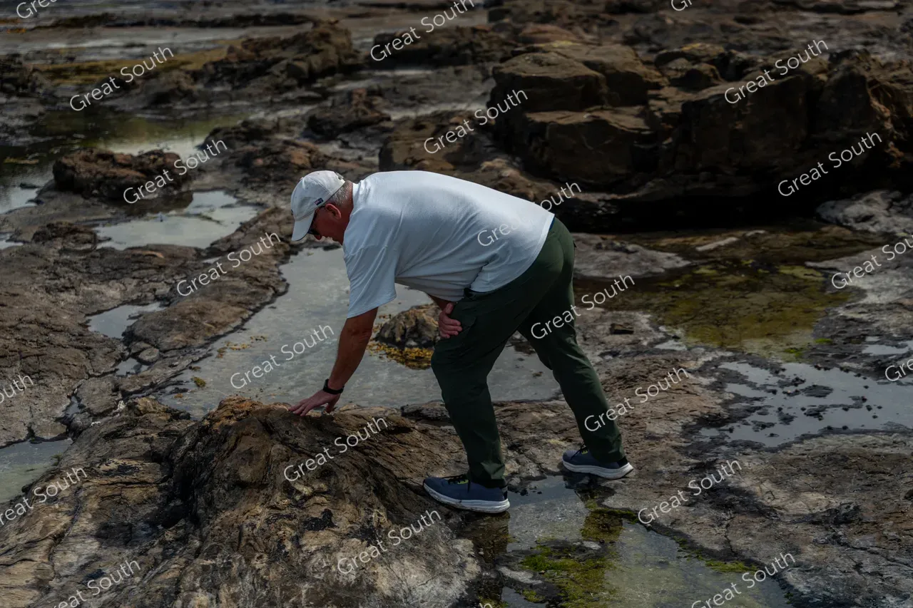 Petrified Forest, Curio Bay - Southland, New Zealand - Credit Great South (3)