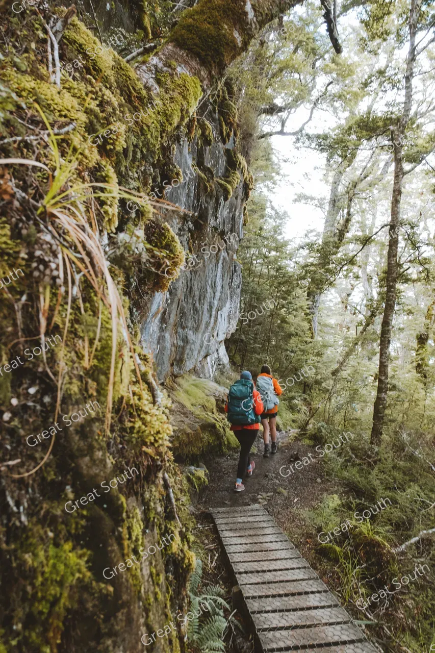 Kepler Track Day Walks - Credit Fiordland Outdoors (18)