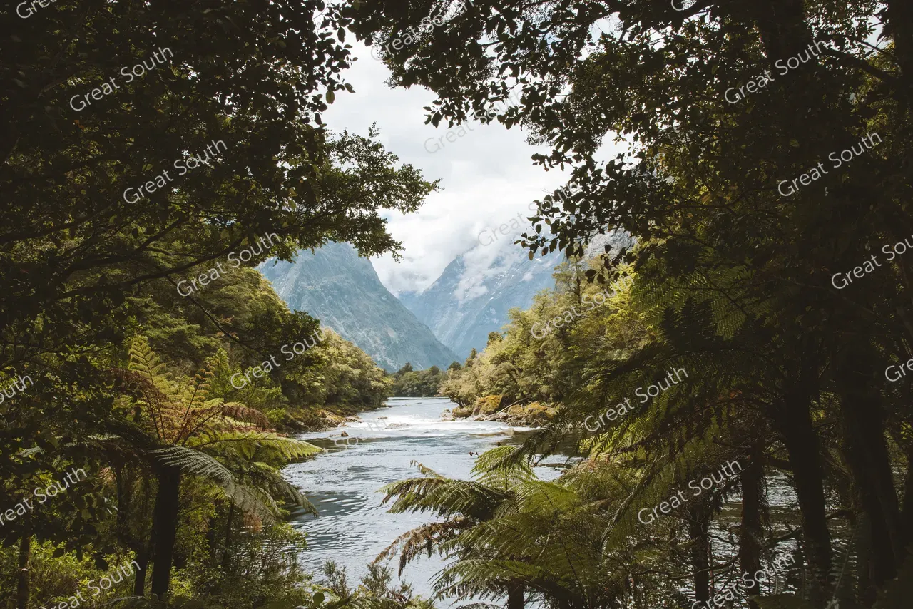Milford Track Day Walk, Milford Sound - Credit Fiordland Outdoors (29)