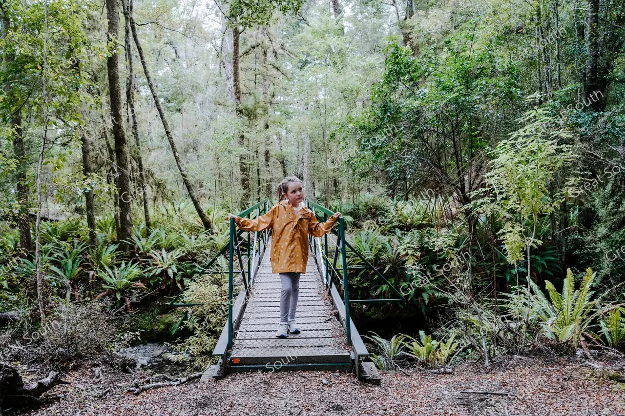 Kepler Track Day Walks - Credit Fiordland Outdoors (30)