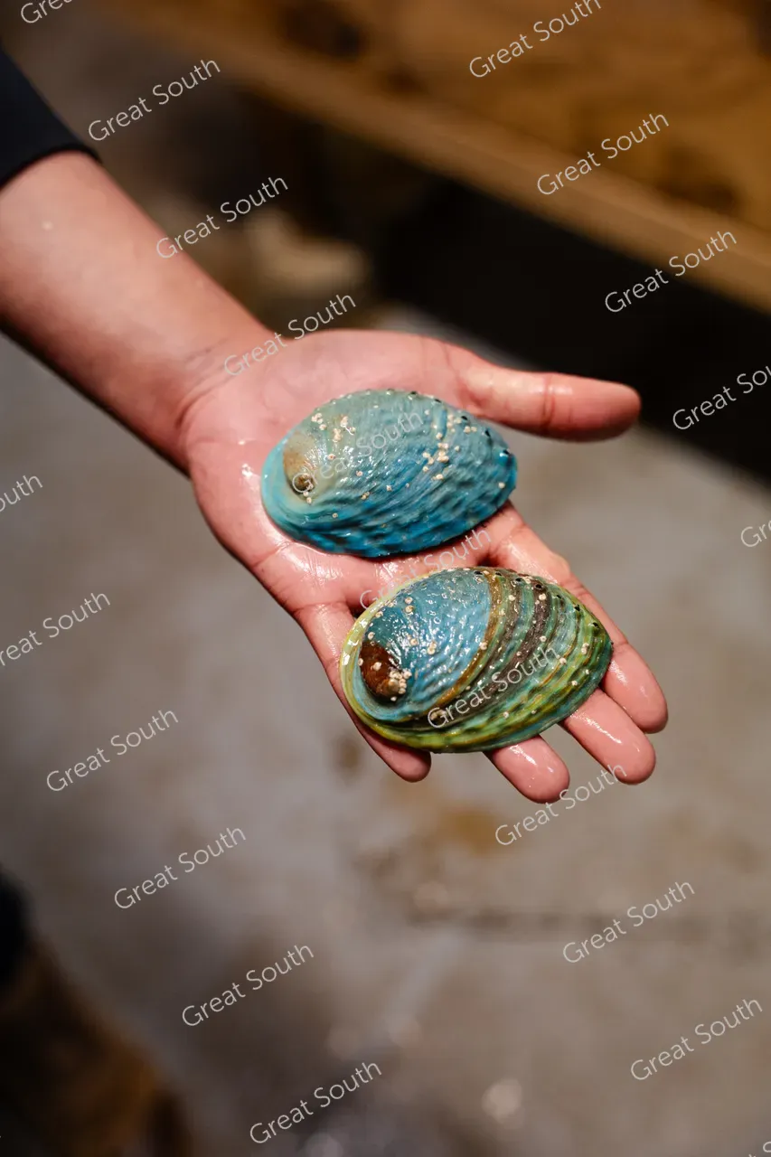 Bluff Distillery - Southland, New Zealand - Credit Dave Nash Photography (4)