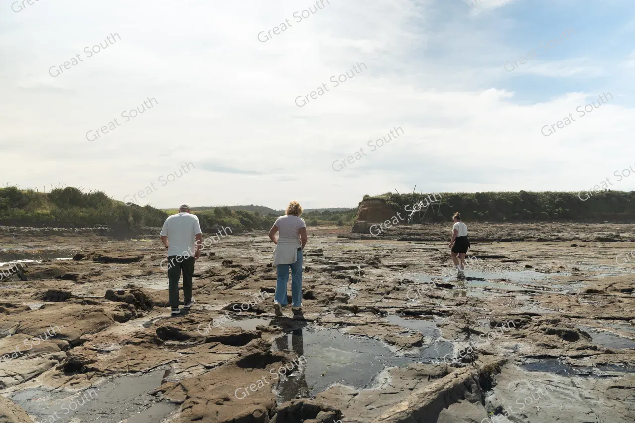 Petrified Forest, Curio Bay - Southland, New Zealand - Credit Great South (5)