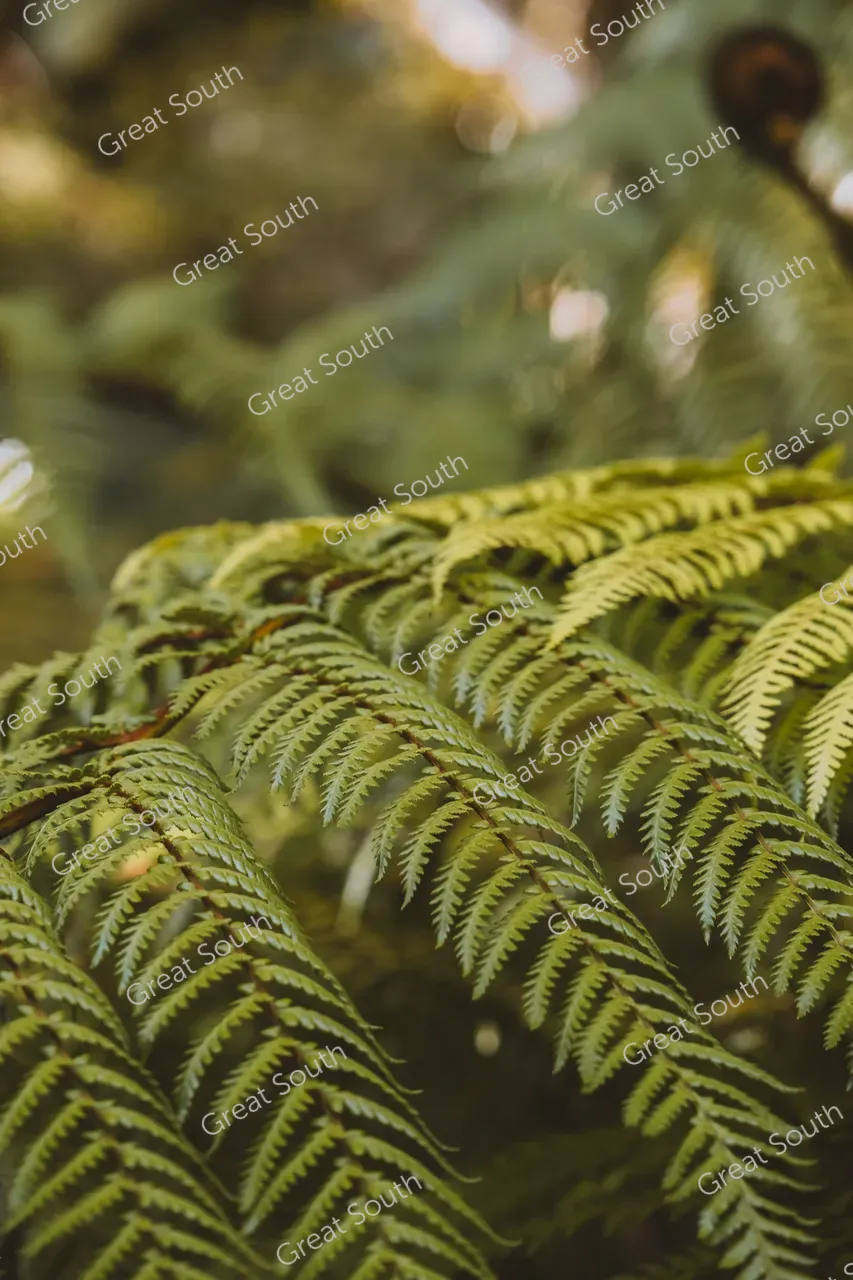 Milford Track Day Walk, Milford Sound - Credit Fiordland Outdoors (8)