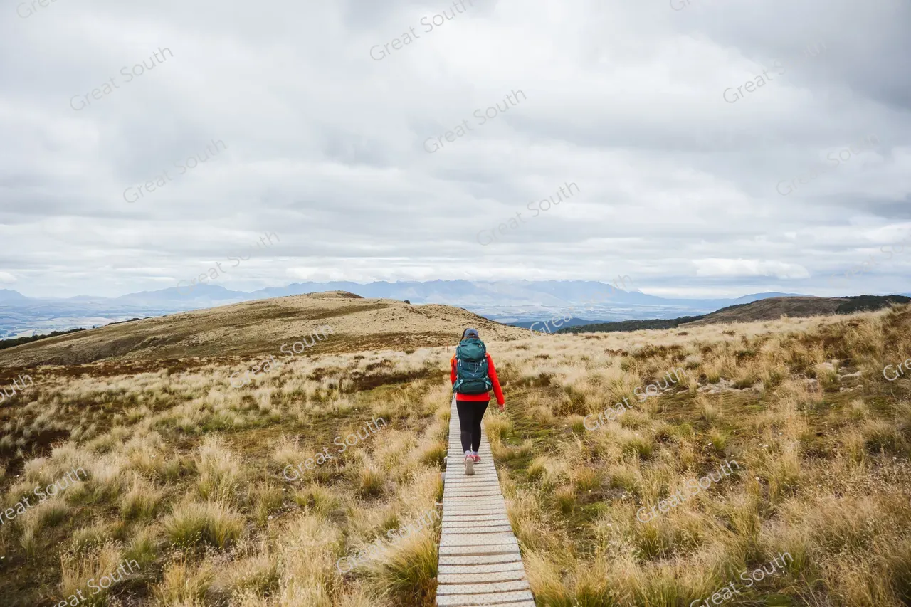 Kepler Track Day Walks - Credit Fiordland Outdoors (16)