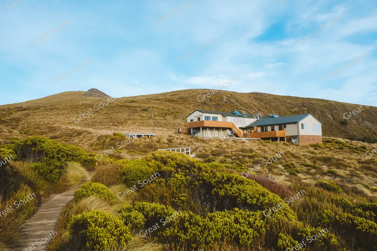Kepler Track Day Walks - Credit Fiordland Outdoors (26)