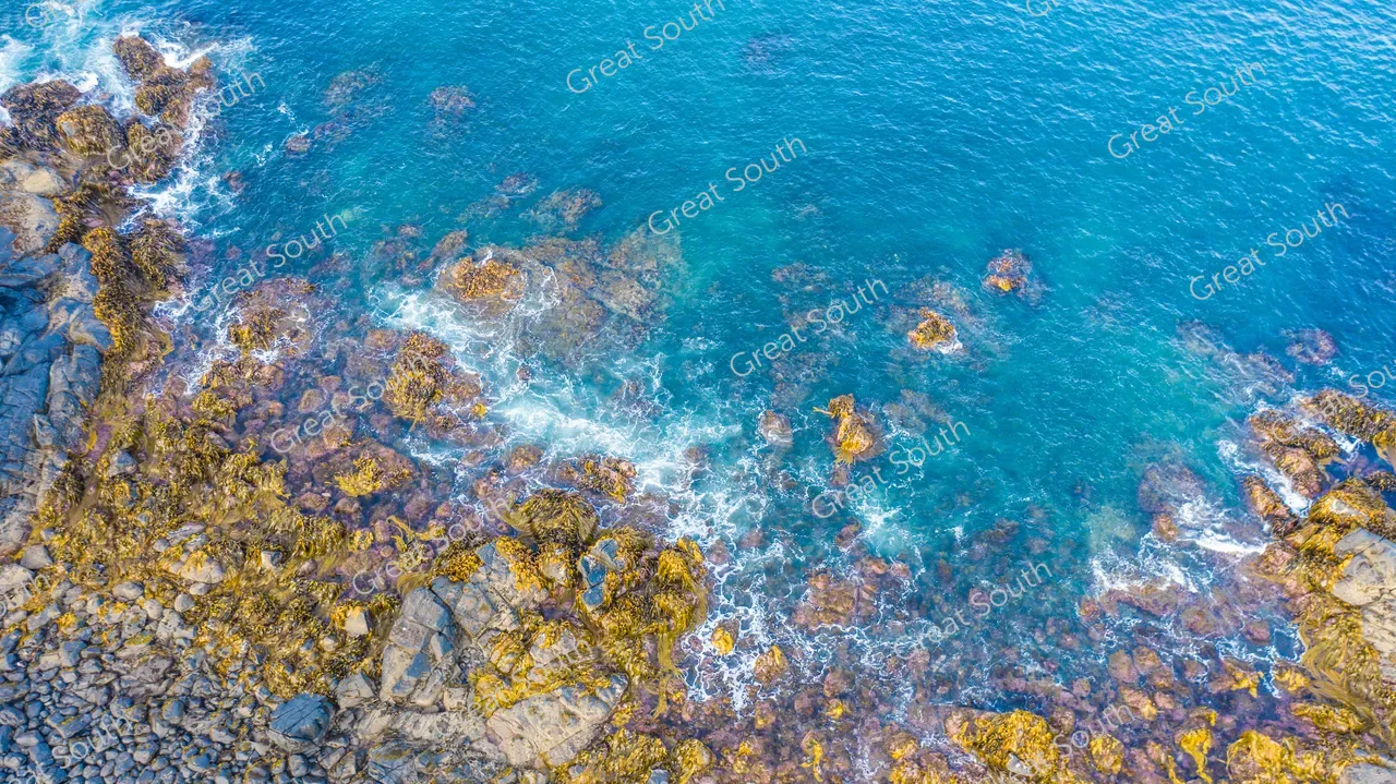 Kelp Rocks - Southland, New Zealand - Credit Tammi Topi - South DroneNZ