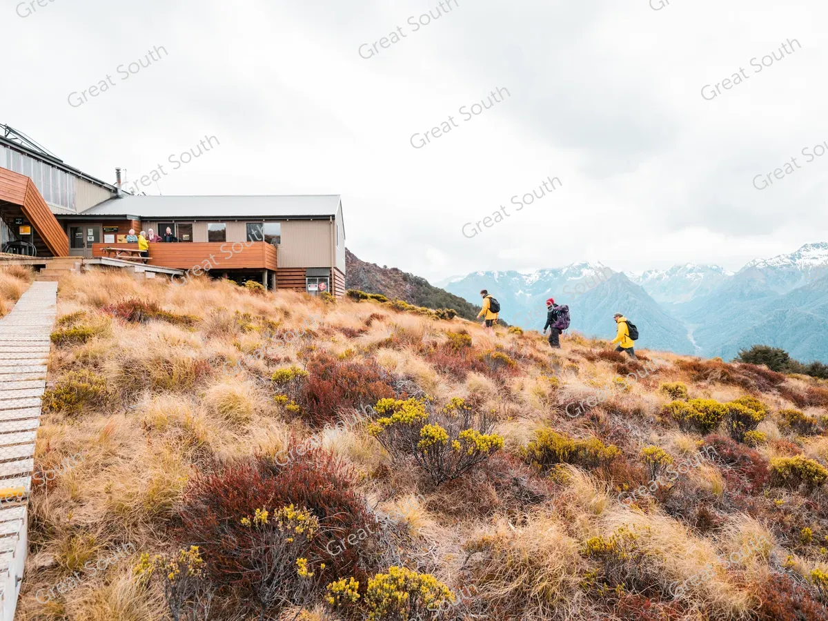 Kepler Track Day Walks - Credit Fiordland Outdoors (1)
