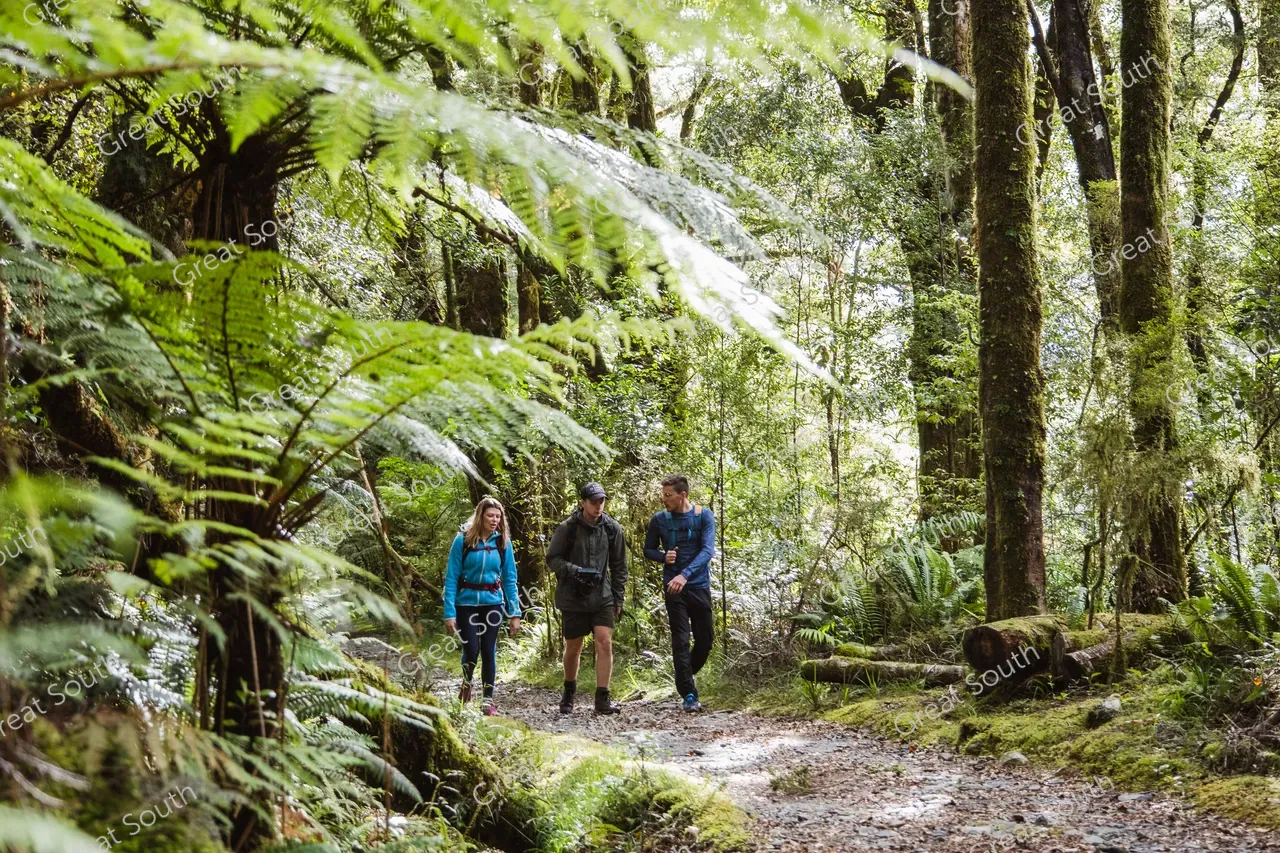 Milford Track Day Walk, Milford Sound - Credit Fiordland Outdoors (12)