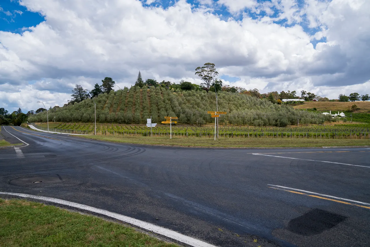 Te Mata Rd-3