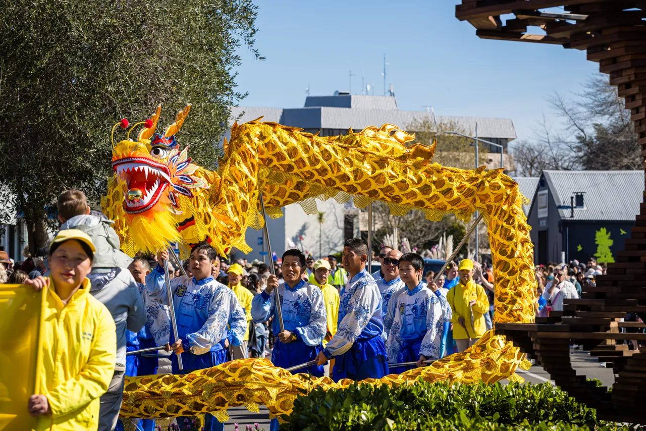 Blossom Festival 2025-SC (95)