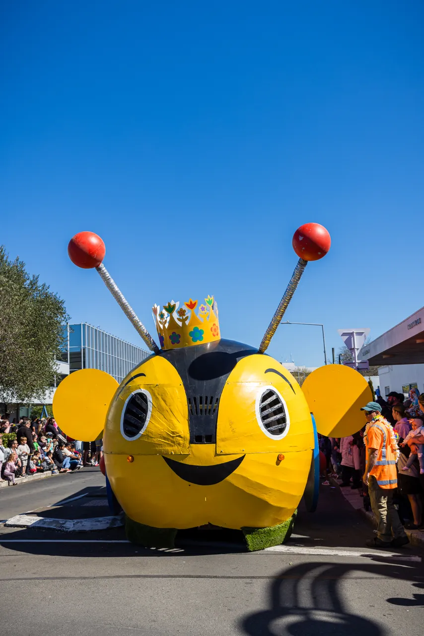 Blossom Festival 2025-SC (196)
