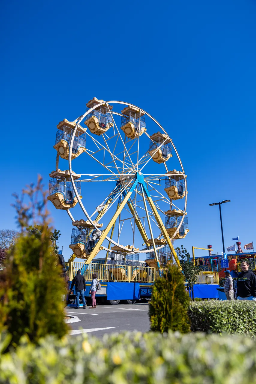 Blossom Festival 2025-SC (124)