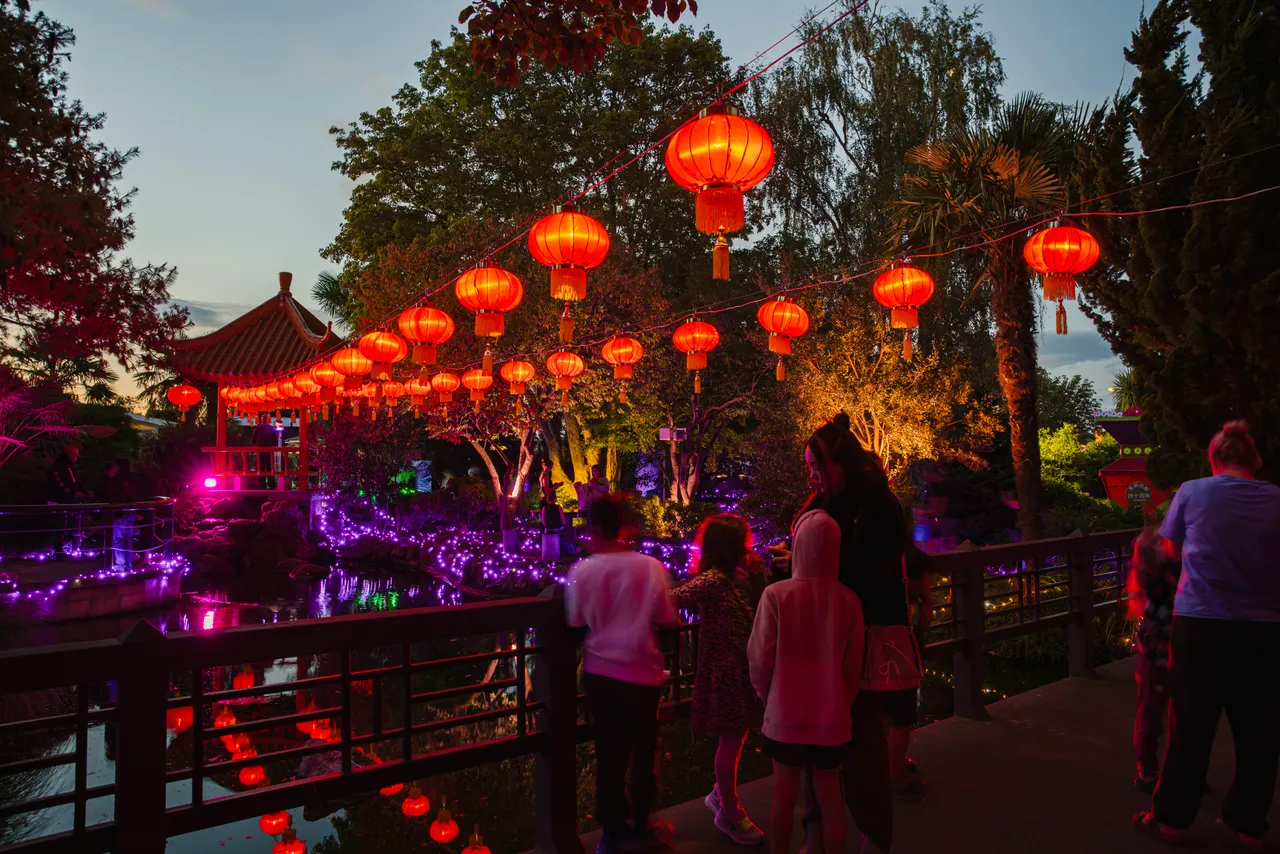 Osmanthus-Gardens-Lantern-Festival 2025 (26)