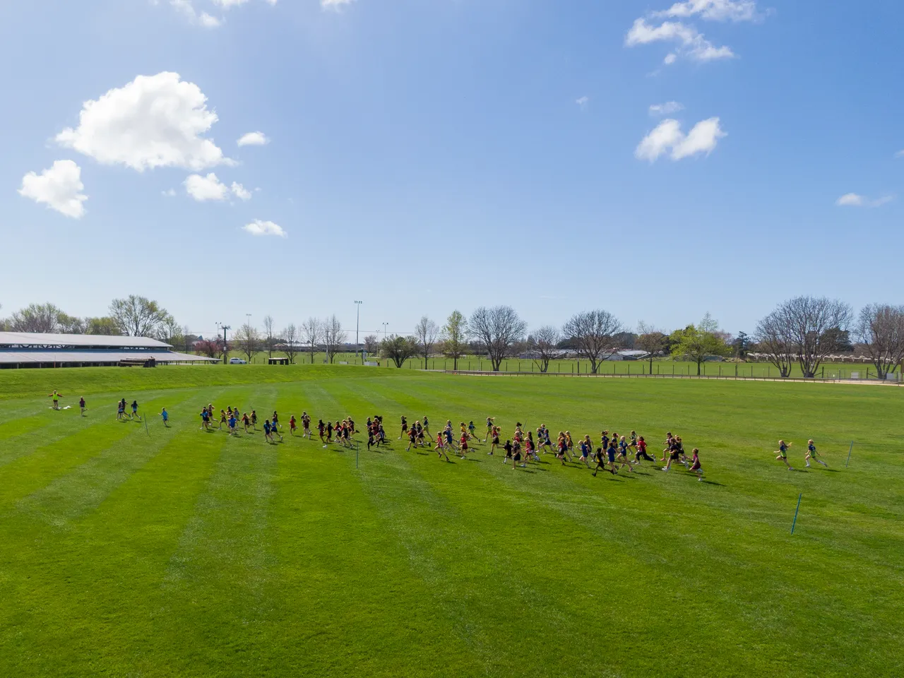 Cross country at Showgrounds-4