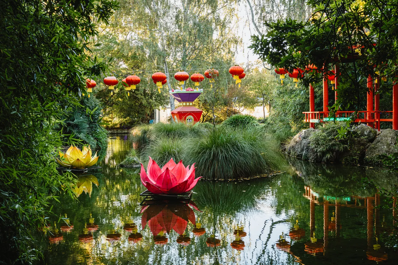 Osmanthus-Gardens-Lantern-Festival 2025 (5)