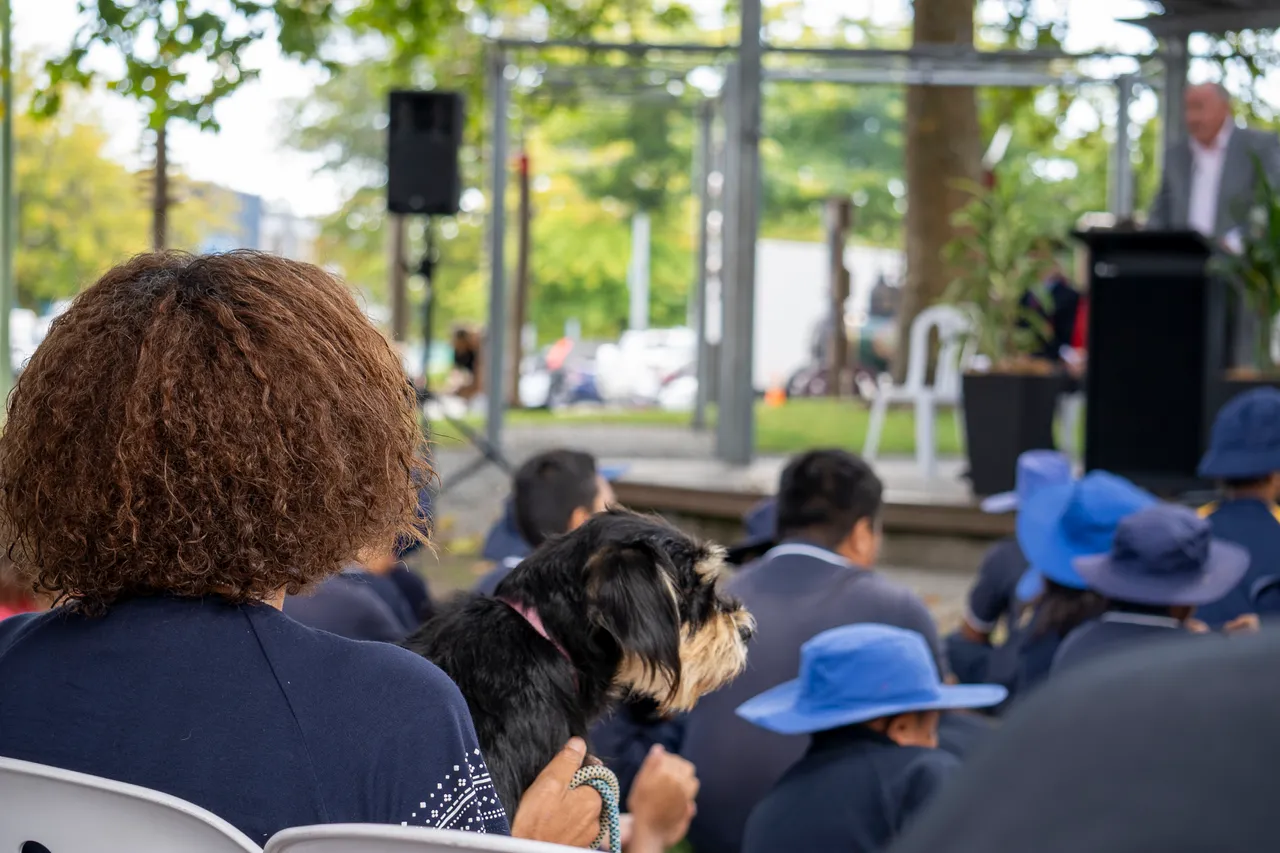 Earthquake Commemoration 2025-03