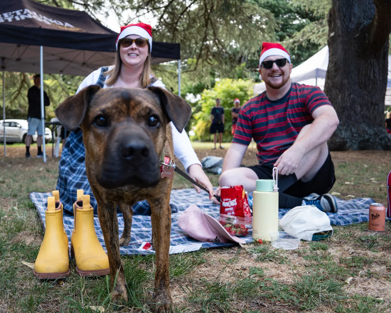 Carols in cornwall 2025 (16)