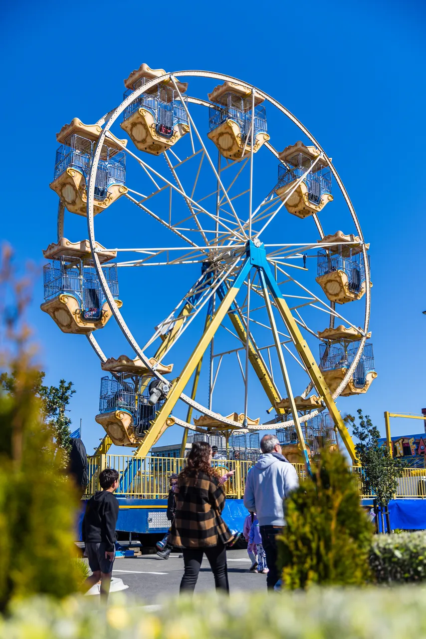 Blossom Festival 2025-SC (125)