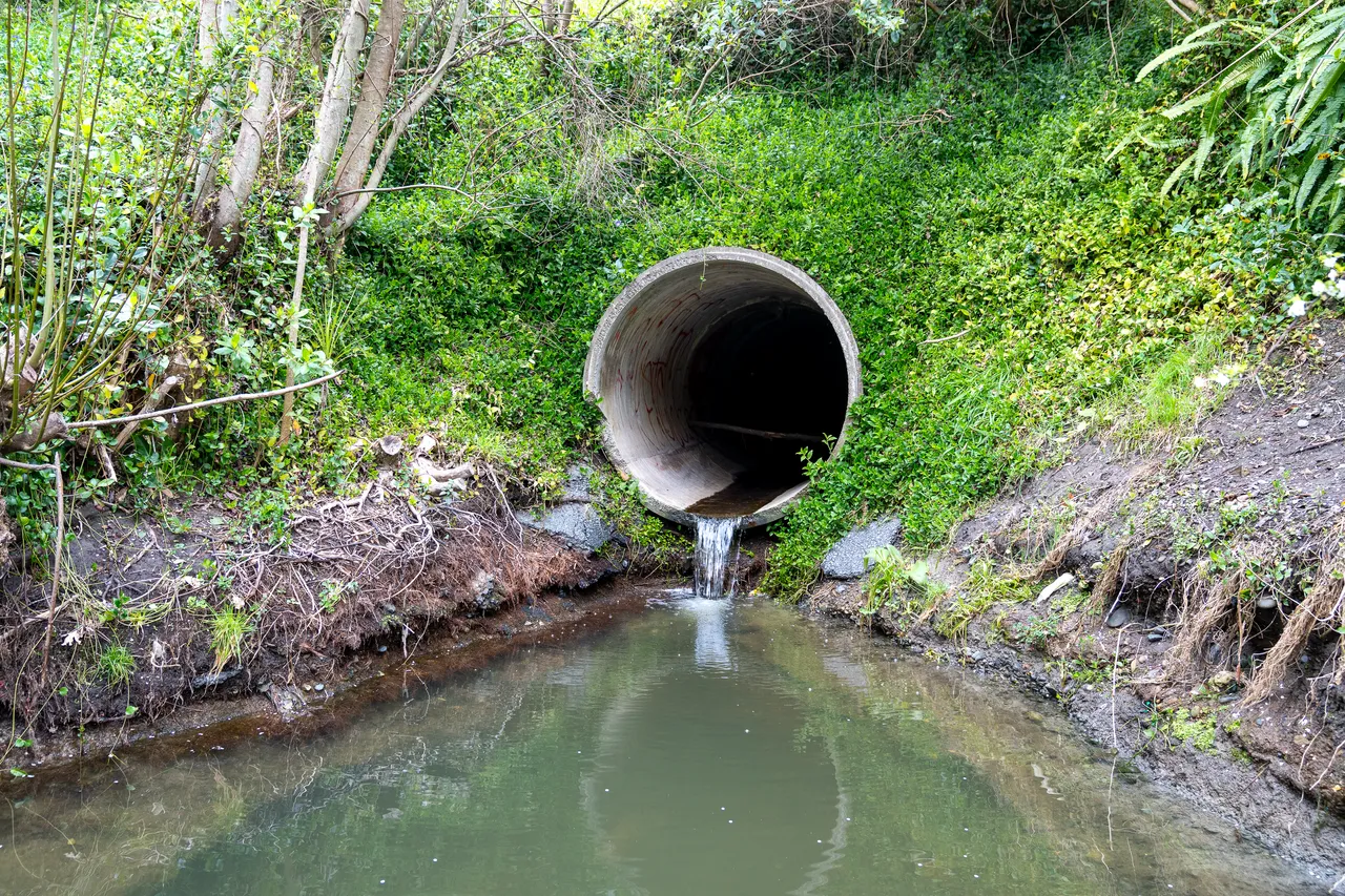 Karituwhenua Stream-16