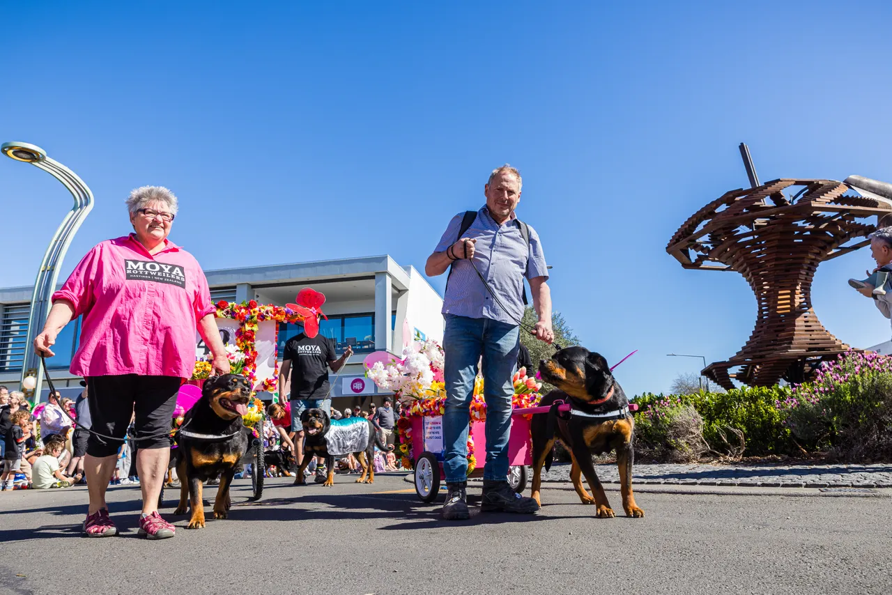 Blossom Festival 2025-SC (33)