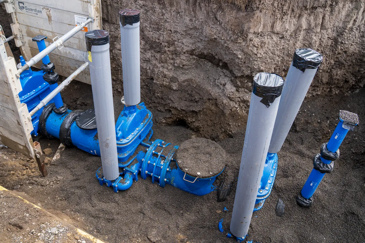 Ōmāhu Road_Wilson 14 Nov