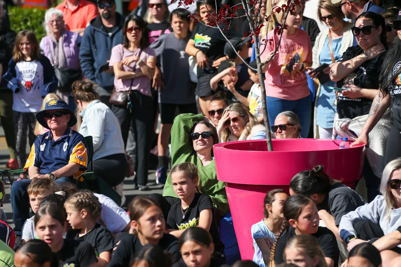 Blossom 2024 PT(420)
