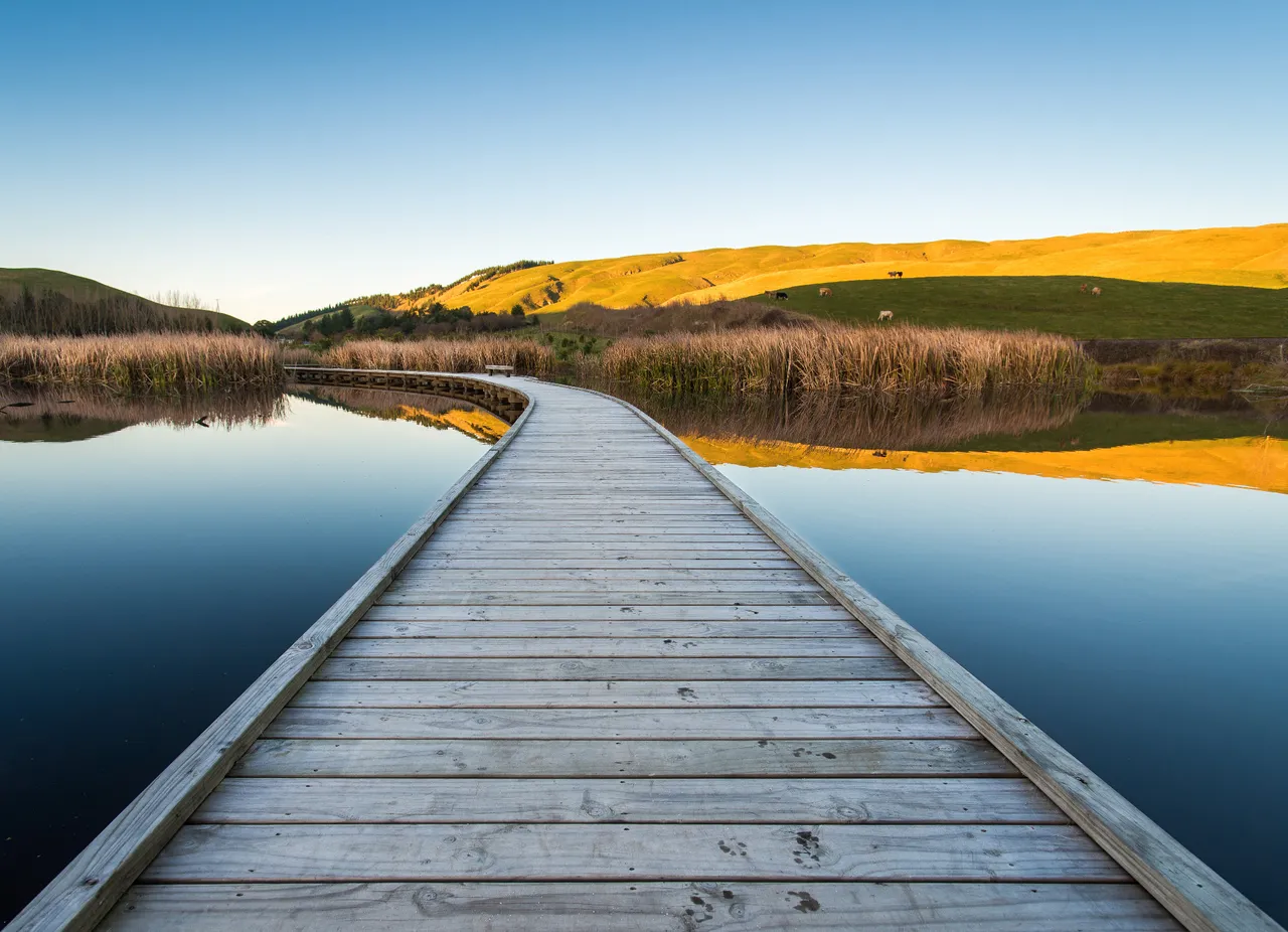 Pekapeka Wetlands