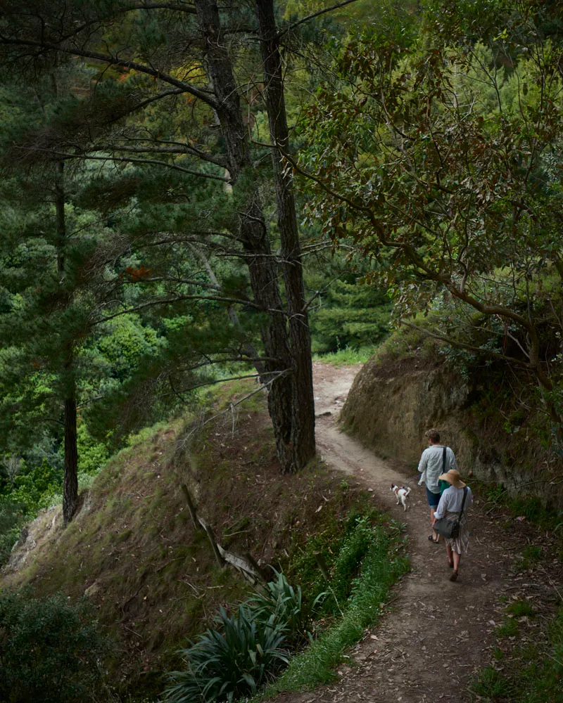 Couple Walking Through The Redwoods