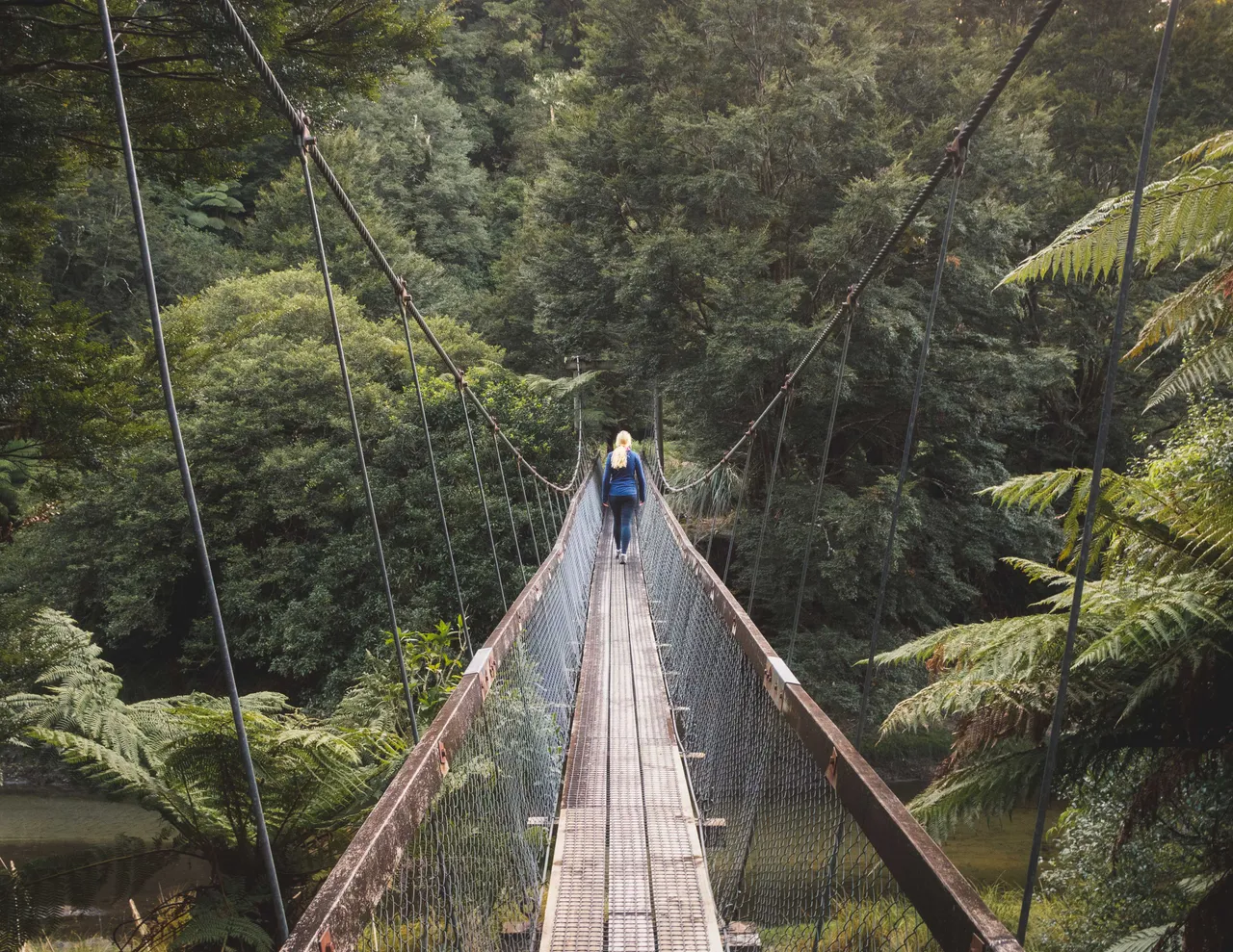 Hiking Lake Waikaremoana