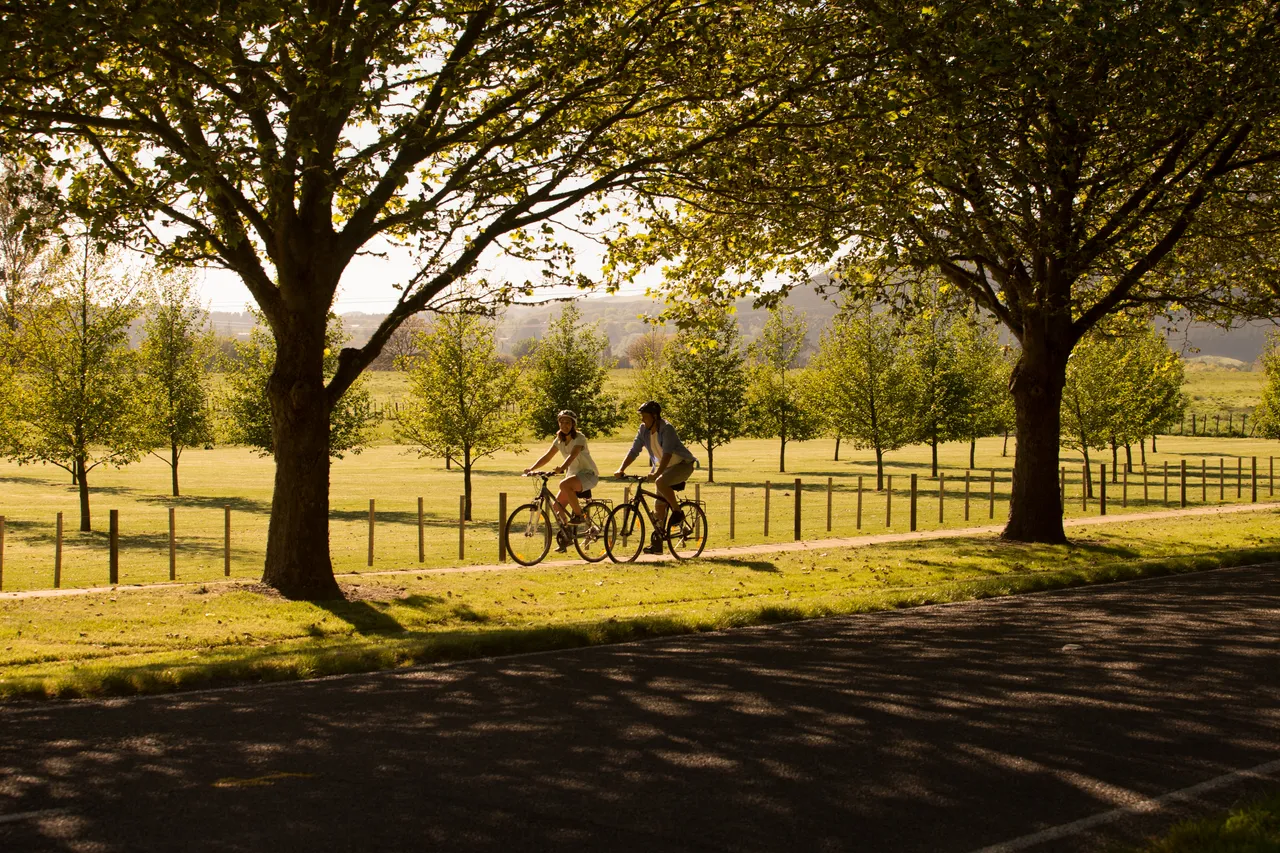 Cycling in the Tukituki Valley