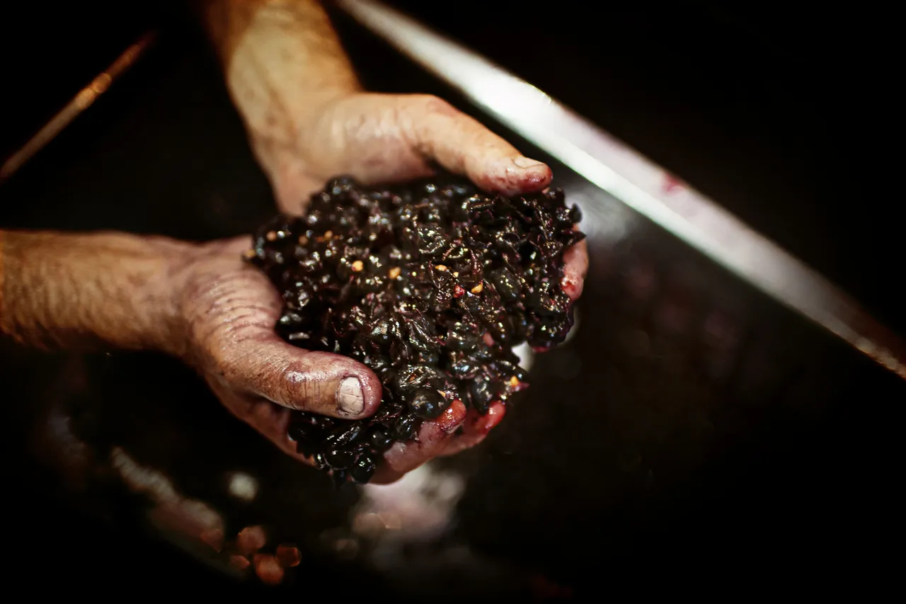 Church Road Winemaker