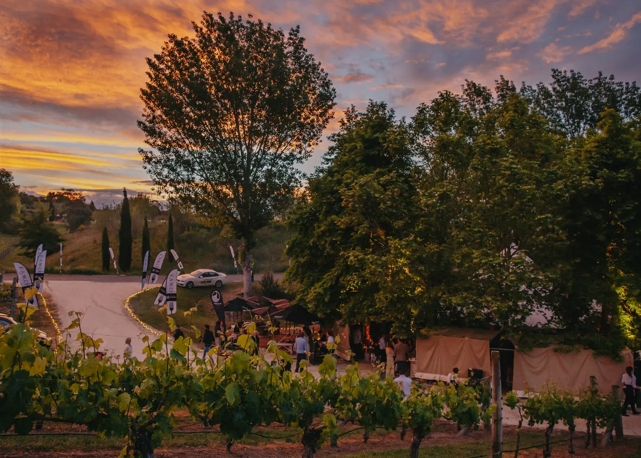 F.A.W.C! Launch Party at Black Barn Vineyards