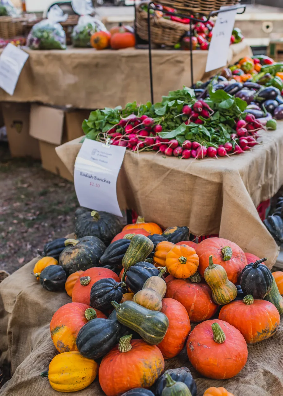 Autumn produce at the Hawke's Bay Farmers' Market