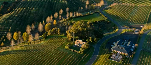 Black Barn Vineyards Aerial View